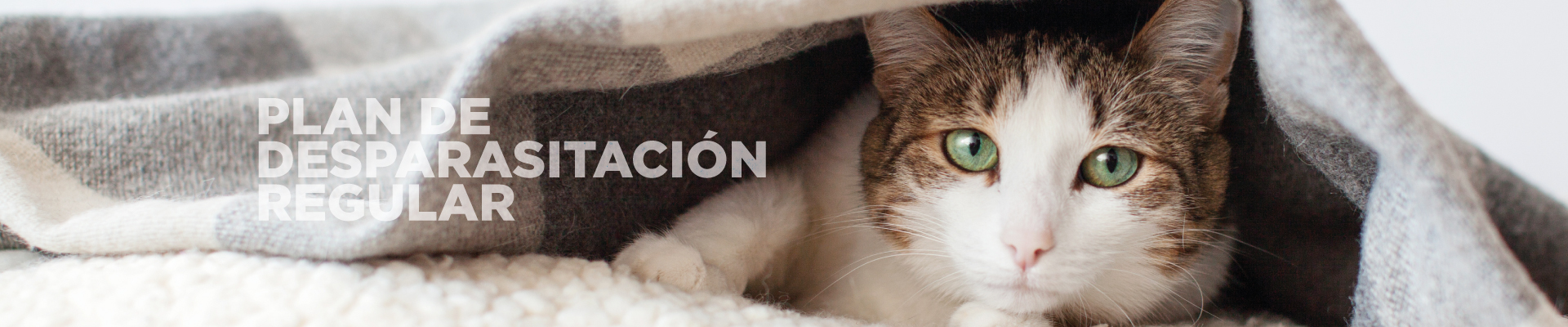 desktop banner desparasitacion 1920x400px.jpg